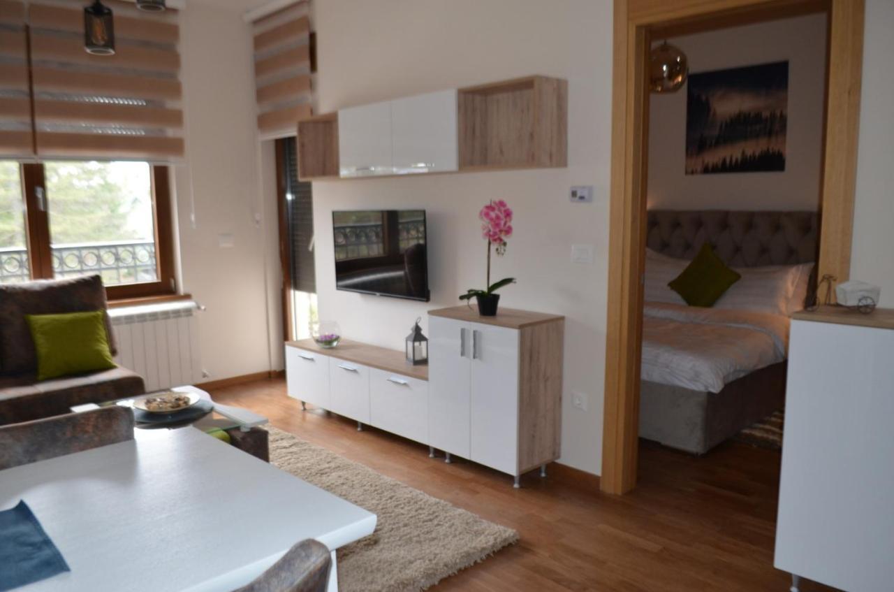 Apartment Elsa 2 Kosta Todorovic