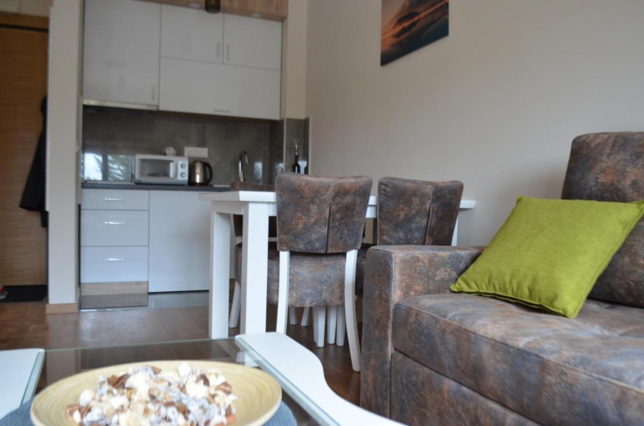 Apartment Elsa 2 Kosta Todorovic *