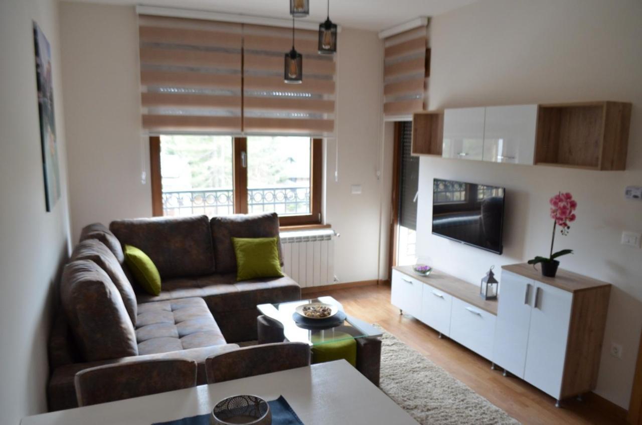 Elsa 2 Kosta Todorovic Apartment
