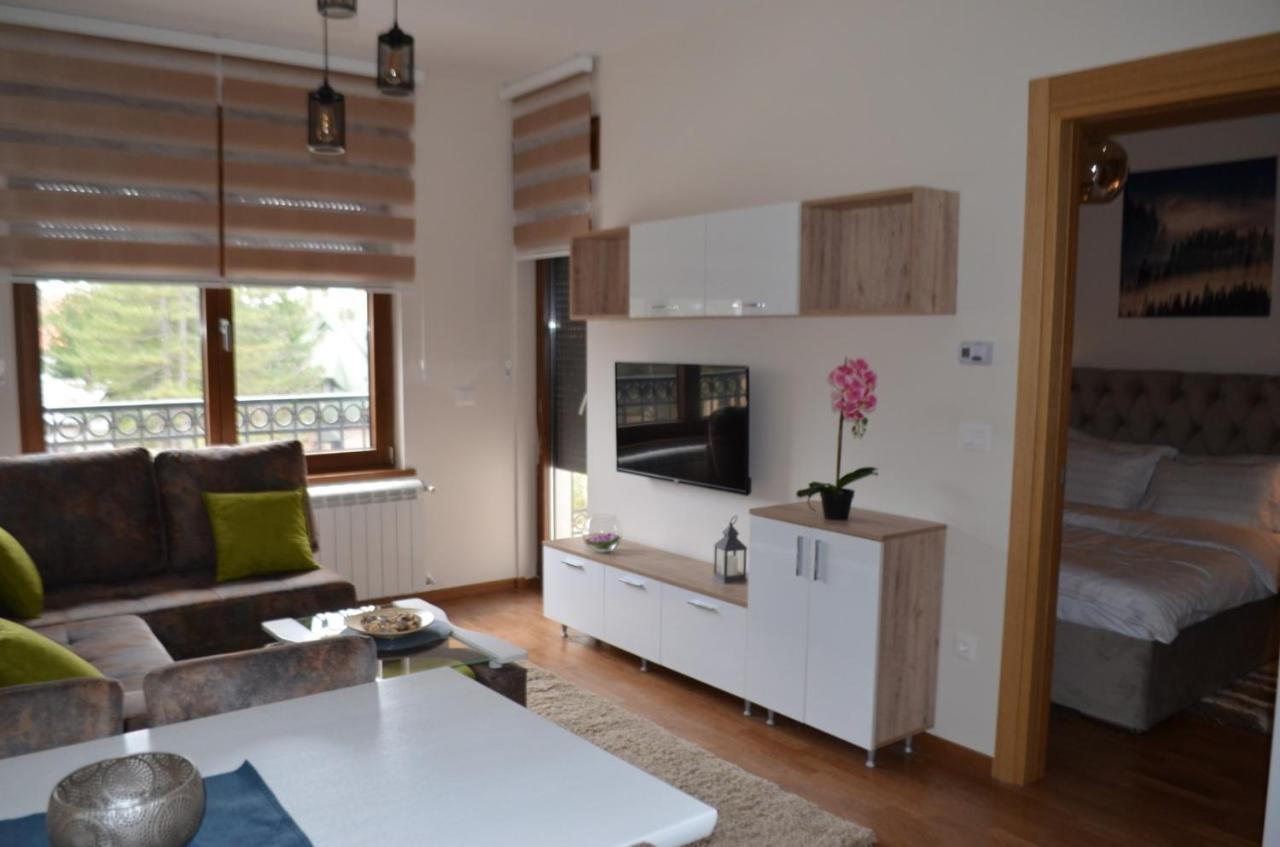 Elsa 2 Kosta Todorovic Apartment